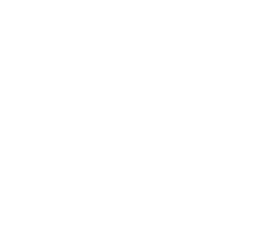 logo transparent 906x812